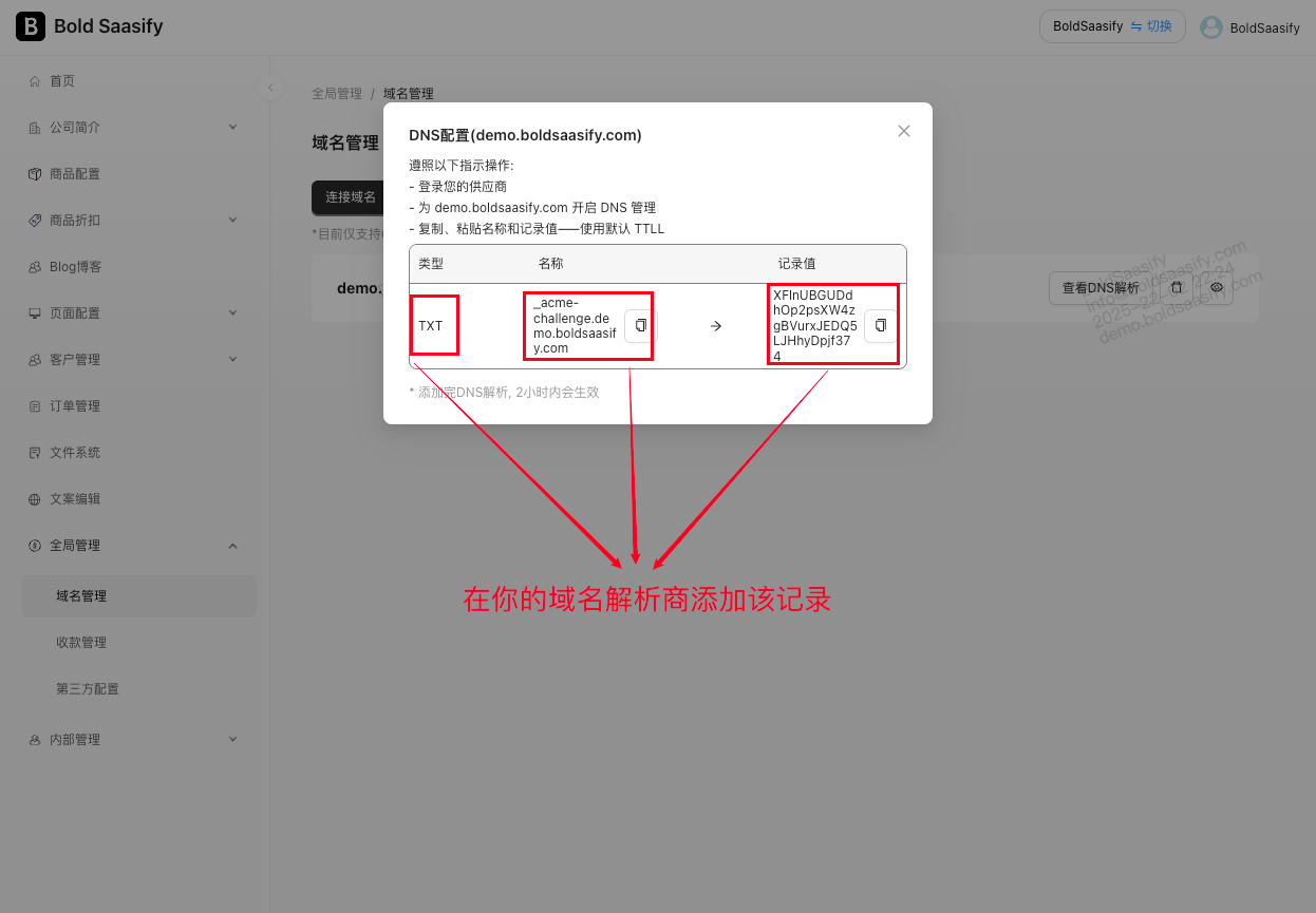 BoldSaasify连接域名-3