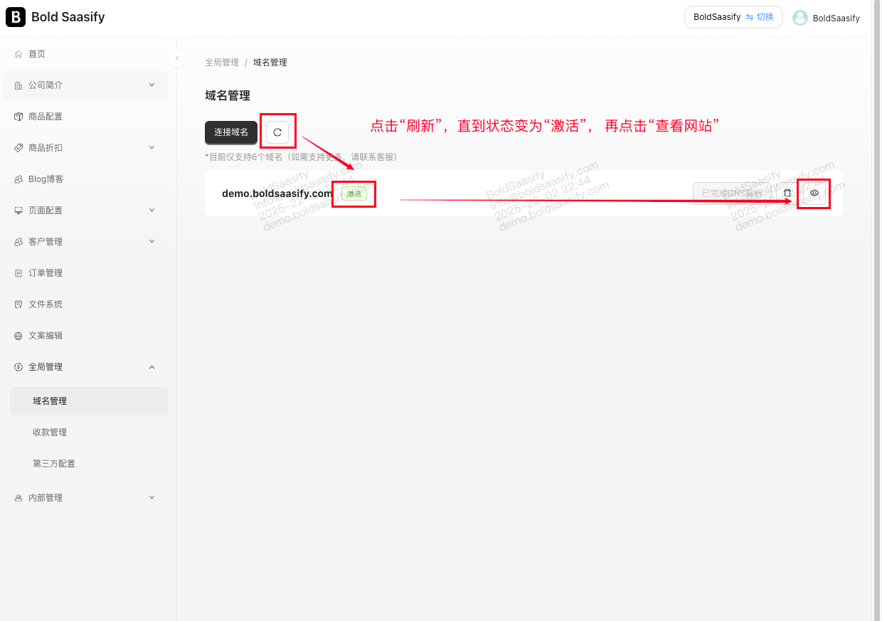 DNS解析连接BoldSaasify-3
